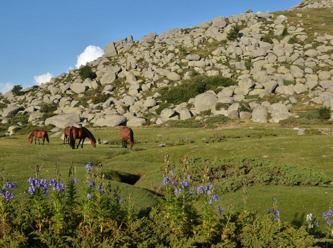 Plateau du Coscione